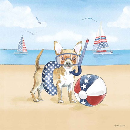Framed Summer Paws Patriotic II Print