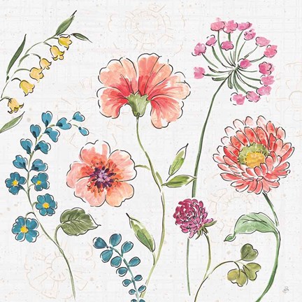 Framed Gypsy Meadow II Print