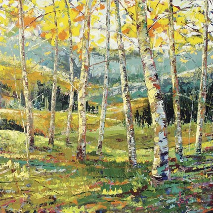 Framed Point Of View Print