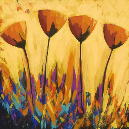 Framed Symphony of Color Print