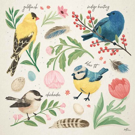 Framed Bird Study II Print