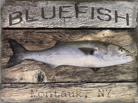 Framed Bluefish Print