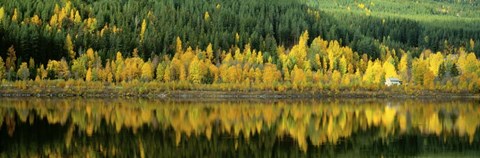 Framed Osterdalen Glomma River, Koppang, Norway Print