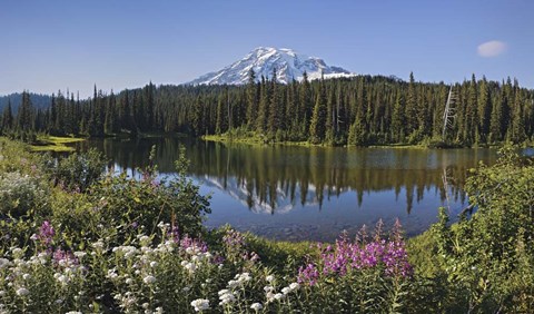 Framed Reflection Of A Mountain And Trees In Water, Mt Rainier National Park, Washington State Print