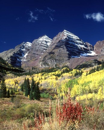 Framed Maroon Bells Peaks White River National Forest Colorado Print