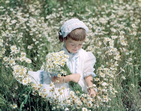 Framed Little Girl In White Hat And Dress Picking Daises Print