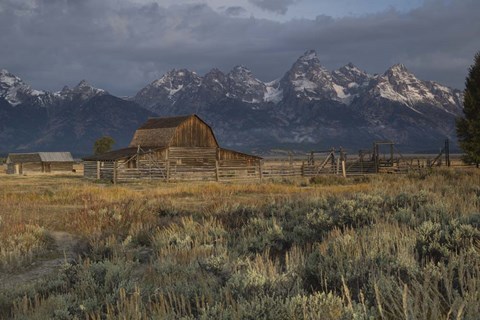 Framed Barn In Grand Teton National Park, Wyoming Print