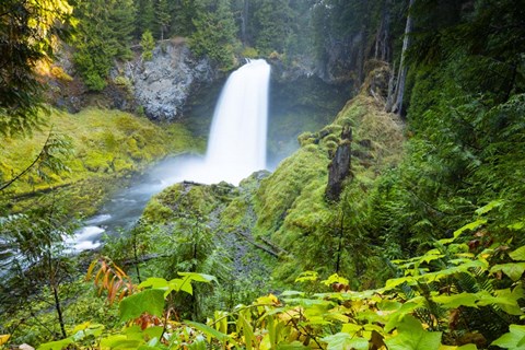 Framed Scenic View Of Waterfall, Portland, Oregon Print