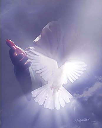 Framed Comforter Print