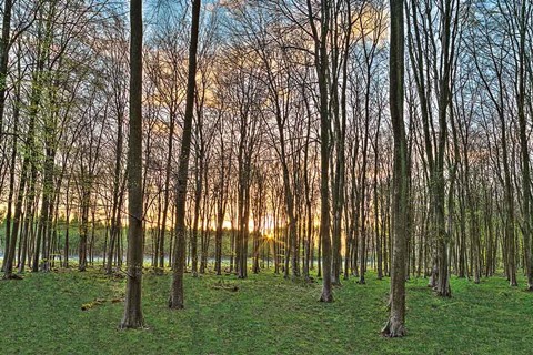 Framed Secret Sunset Print