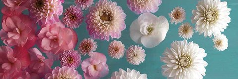 Framed Garden Splash Print