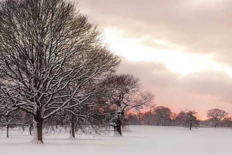 Framed Rosy Sunset Print