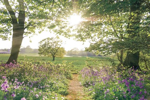 Framed Something Beautiful Print