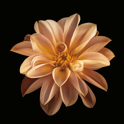 Framed Four Keeps II Print