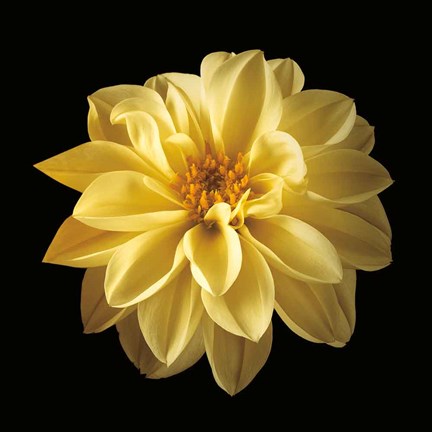 Framed Four Keeps IV Print