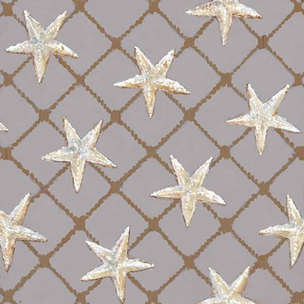 Framed Net Full of Stars Print