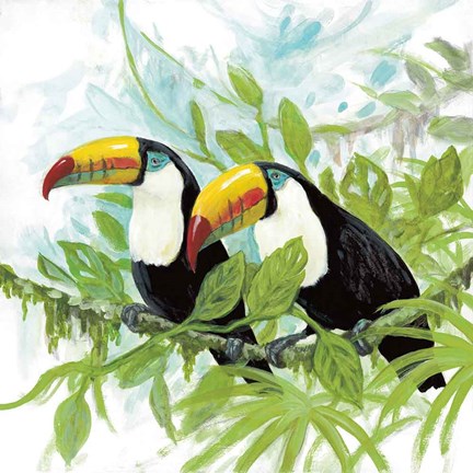 Framed Toucans Print
