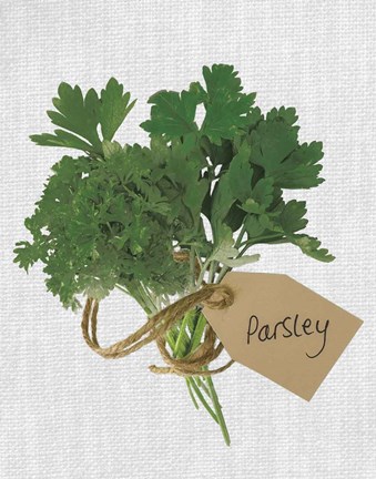 Framed Parsley Print