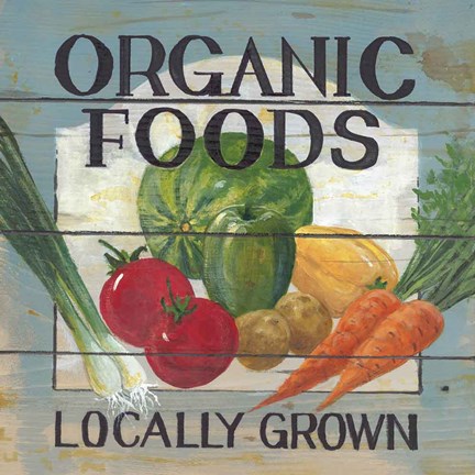 Framed Organic Foods Print