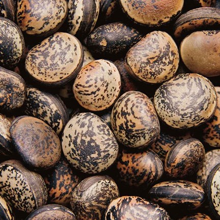 Framed Pebble Textures Print