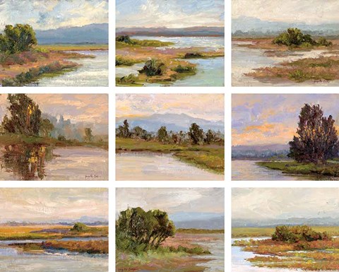 Framed Jewels of the Wetlands, Series One Print