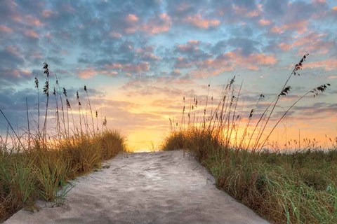Framed Over The Top Print