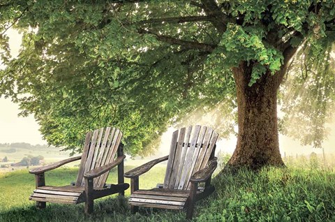 Framed Made In The Shade Print