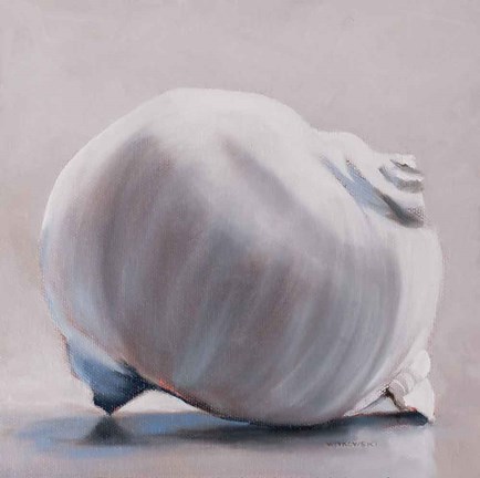 Framed Moon Snail Print