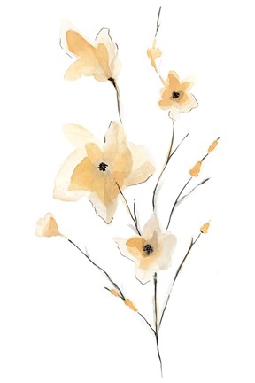 Framed Morning Glory II Print