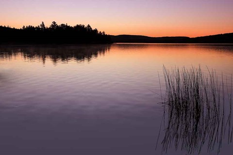 Framed Breaking Dawn Print