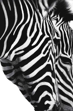 Framed Partners In Crime Print