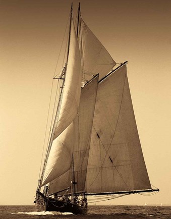Framed Under Sail I Print