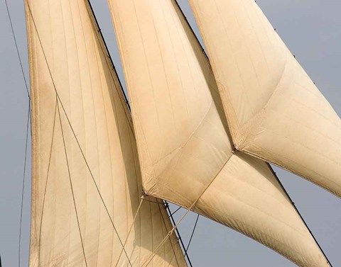 Framed Windward I Print