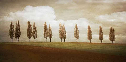 Framed Before the Valley Print