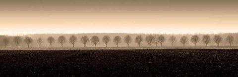 Framed Dappled Morning Fields Print