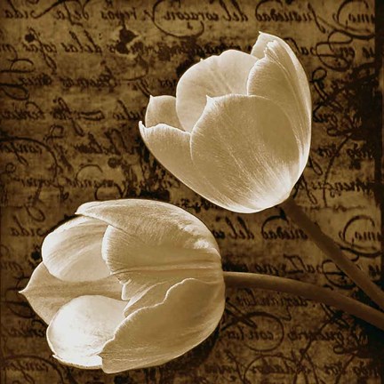 Framed With Love I Print