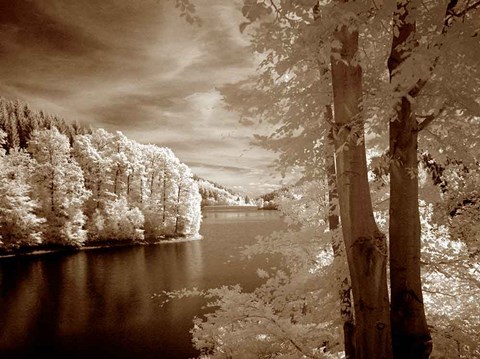 Framed View To Remember Print