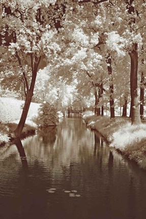 Framed Water Under The Bridge Print