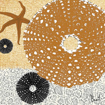 Framed Tidepool Dreams I Print