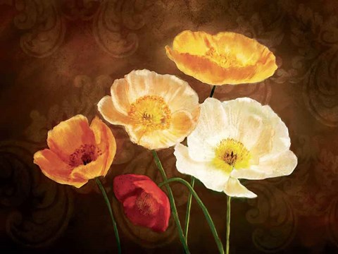 Framed Poppy Perfection II Print