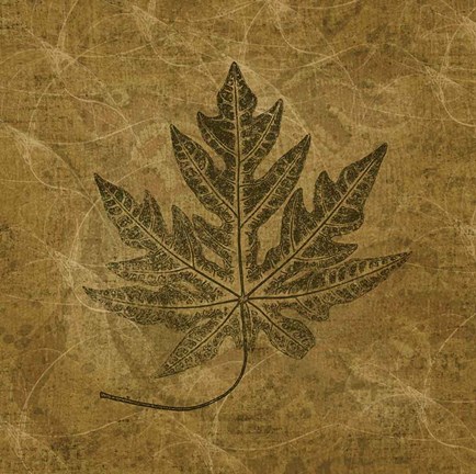 Framed Leaves of Summer Print