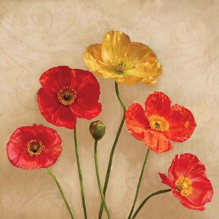 Framed Graceful Spring II Print