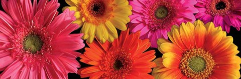 Framed Simply Spring Print