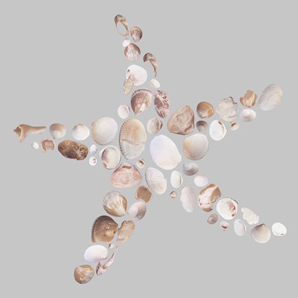 Framed Starfish Print