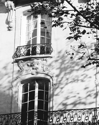 Framed Autumn Shadows I Print