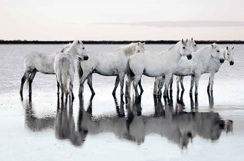 Framed Calm Waters Print