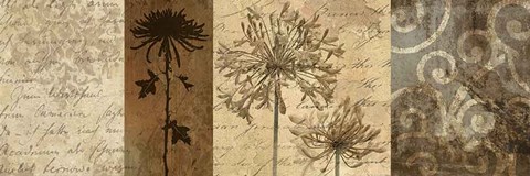 Framed Memoir II Print