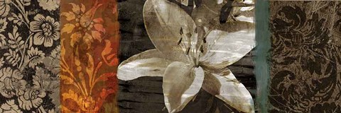 Framed Evanescent I Print