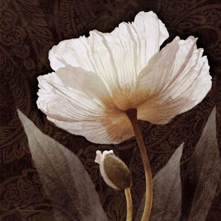 Framed Paisley Poppy I Print