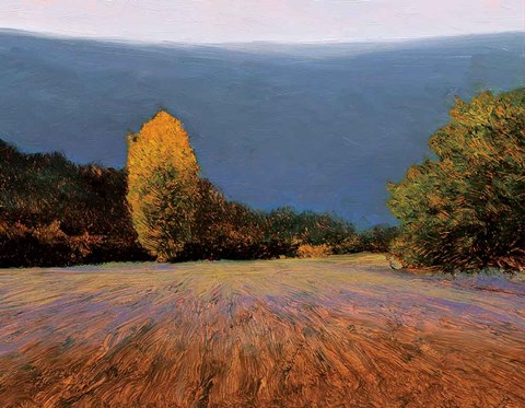 Framed Coline Bleue Print